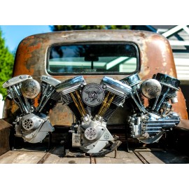 The Dirty Gringo Sexy Aluminum 1996 Evo Evolution Point Timing Timer Cover fits Harley Davidson