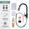 Black and Gold Kitchen Faucet with Sprayer, WOWOW Kitchen Sink