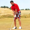 Royal & Awesome Diamonds In The Rough Mens Golf Shorts,