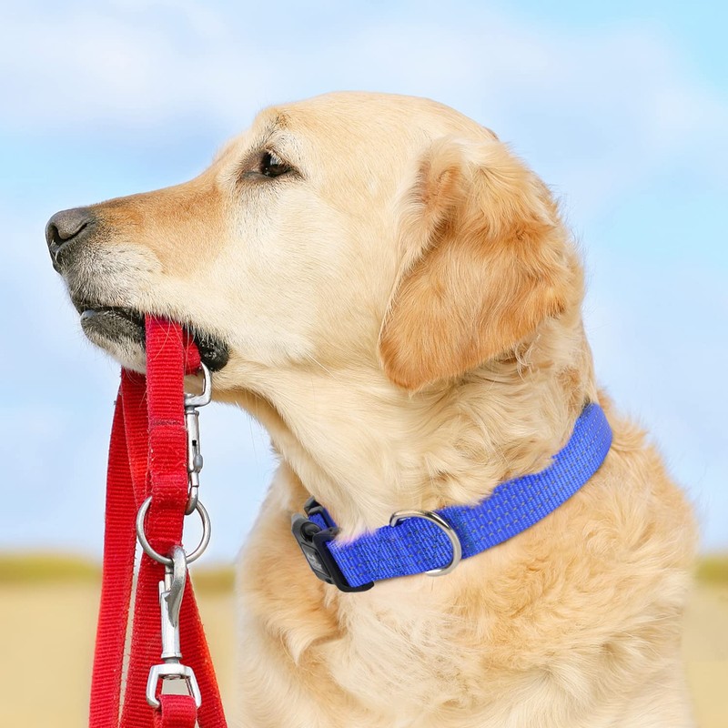 TwoEar Heavy Duty Dog Collar Reflective, Adjustable Nylon Pet Collar