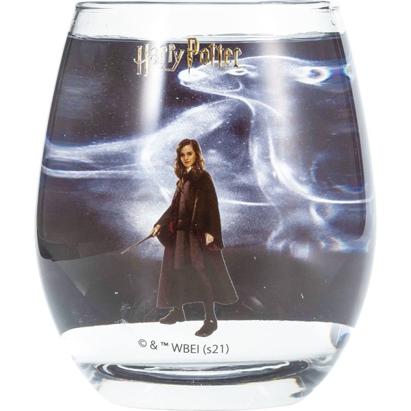 Sun Art SAN3747-2 Harry Potter Hermione 3D Glass Tumbler, Approx. 11.2 fl oz (330 ml), Made in Japan