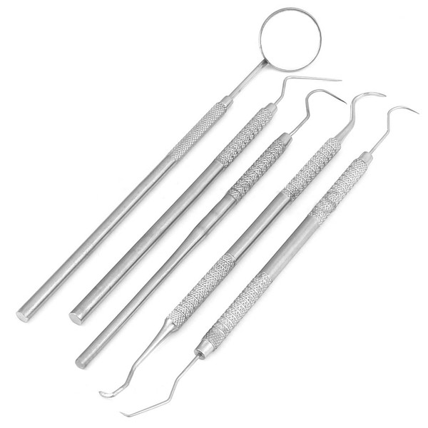 AA PRO 5 PCS Dental Set Examination KIT Hygiene Cleaning