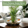 2Pack Slant Cut Bowl, Glass Terrarium, Glass Fish Bowl Vase,