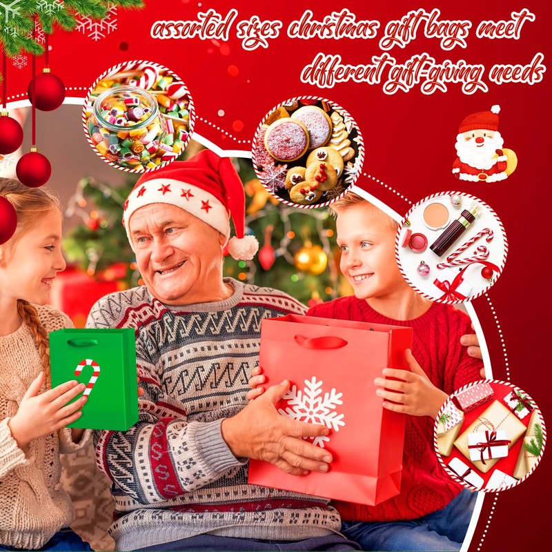 Casuallined 24 Pcs Christmas Paper Gift Bags with Handles Assorted