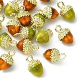 Stiesy 10Pcs 2 Colors Enamel Pine Cone Charms Pendants Colorful Pinecone Charms Acorn Plant Dangle Charms for DIY Crafts Jewelry Making