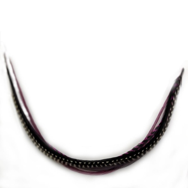 Feather Hair Extensions Five Purple & Violet 4''-6" Mix with Natural Browns Quality Salon Feathers for Hair Extension!