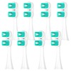 8 Pack Compatible with Spinbrush Pro Clean Toothbrush Replacement Brush