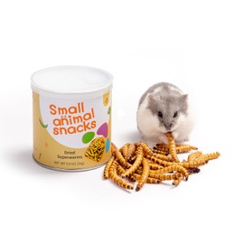 Niteangel Small Animal Snack & Treats - Small Critter Natural Treat for Dwarf Syrian Hamsters Gerbils Mice Sugar Glider Hedgehogs Chickens Birds (Dried Worms- 0.9oz (25g))
