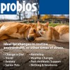 Probios for Dogs Soft Chews, Probiotics for Dogs, Daily Supplement