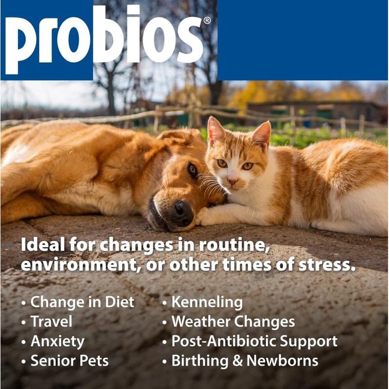 Probios for Dogs Soft Chews, Probiotics for Dogs, Daily Supplement