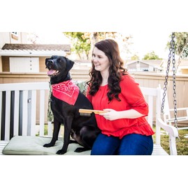 AtEase Accents Detangling Pet Comb for Matted Hair and Detangler, with Long & Short Stainless Steel Teeth for Dog and Cat- Natural Easy Grooming Tool