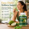 Qizfyzz Soursop Gummies, Antioxidant, Immune & Energy Support, Herbal Daily