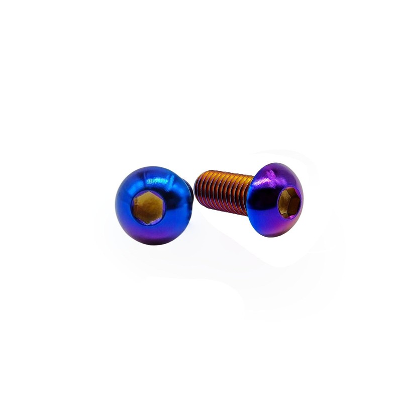 RISON Pack of 5 Titanium Rounded Head Screws with Hexagon