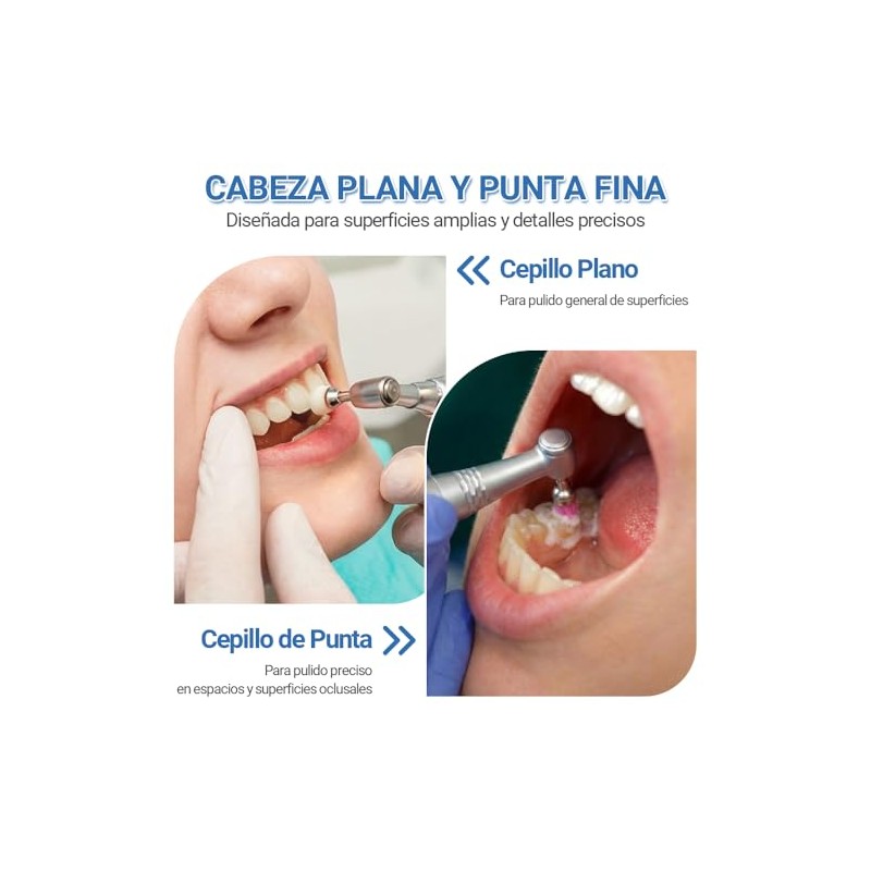 Cepillos de Pulido Dental, Cepillo para Pulir Dientes de Nylon
