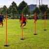 ASENVER Orange Soccer Agility Poles Set Detachable Sports Trainning Speed