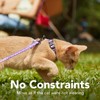 Cat Harness and Leash Set - Escape Proof Adjustable Cat