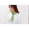 Maruwa Boeki 4008883-07 Cool Scarf, Green, 31.1 x 3.5 inches