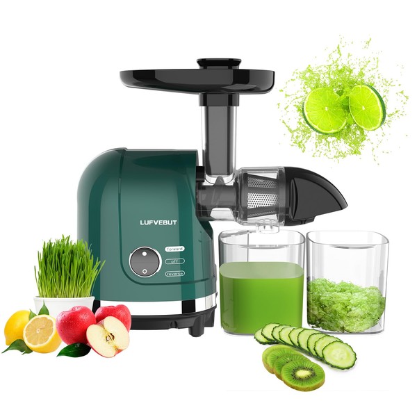 Cold Press Juicer Machine for Fruits & Vegetables, Masticating Juicer,