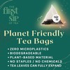Ambrosia White Tea, Pyramid Sachet Tea Bags, Pai Mu Tan
