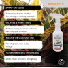 Environmental Plant Management ECO Shine | Oil-Free Leaf Shine Spray