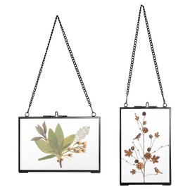 SUMTree 2 x Glass and Metal Picture Frames Hanging Glass Photo Frame Plant Sample Clip for Pressed Flowers Photos Only Glass Frame (Black 10 x 15 cm Rectangle)