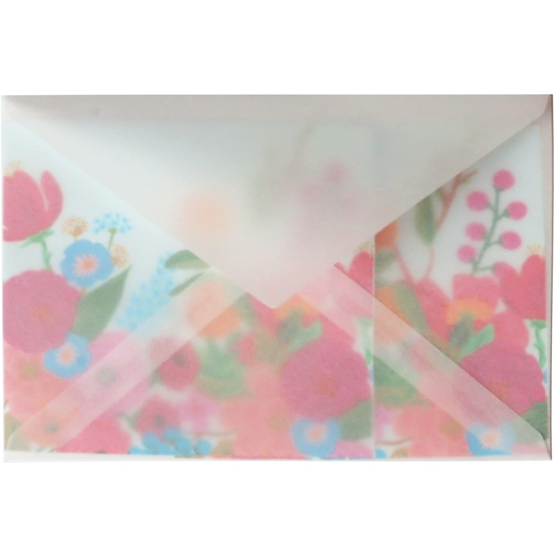 Netuno Pack of 25 Transparent Envelopes DIN C5 162 x