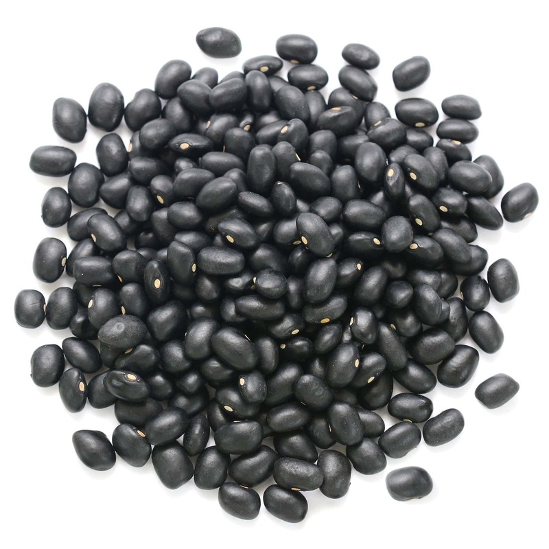 Food to Live - Organic Black Beans, 5 Pounds Non-GMO,