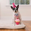 Dog Birthday Girl Outfit, Gotcha Day Dog Birthday Bandana and