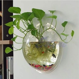 DSBAOMA Wall Mounted Fish Bowl Hanging Betta for Aquarium Wall Decor Plant Fish Bubble Bowls Clear Acrylic 5.9" 7.7" 10.2"