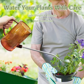Qilebi Indoor Small Watering Can, Stainless Steel Long Spout for House Plants - 1 L / 34 oz