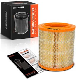 Frankberg Air Filter Replacement # 500038749