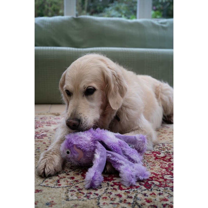 Petface Orla the Octopus Plush Dog Toy, Small
