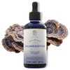 PHI FUNGI | Phungestive | Extracto de Cola de Pavo