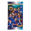Panini French Football Federation 2025 Trading Cards Box with 18