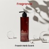 Scalp Ssag Shampoo 520ml – Shampoo Coreano Anticaída y Anti-Envejecimiento