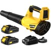 Leaf Blower, Electric Cordless Leaf Blower with 2 Batteries and