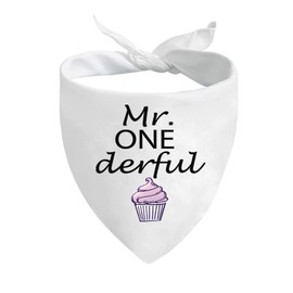 JXGZSO 1 Piece Miss/Mr. ONE Derful First Birthday Cupcake Dog Bandana Birthday Boy Birthday G Dog Bandana (Mr ONE CA)