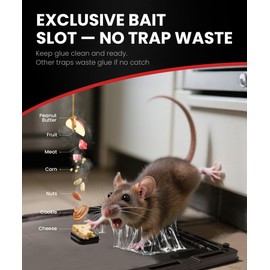 Wowcatch Rat, Snake and Mouse Traps 12 PK, Large Bulk Sticky Glue Traps Indoor for Home Pre-baited, Pet Safe Rodent Catcher for Garage, Kitchen, Catches Roaches, Spiders, Lizard, Non-Toxic, Large