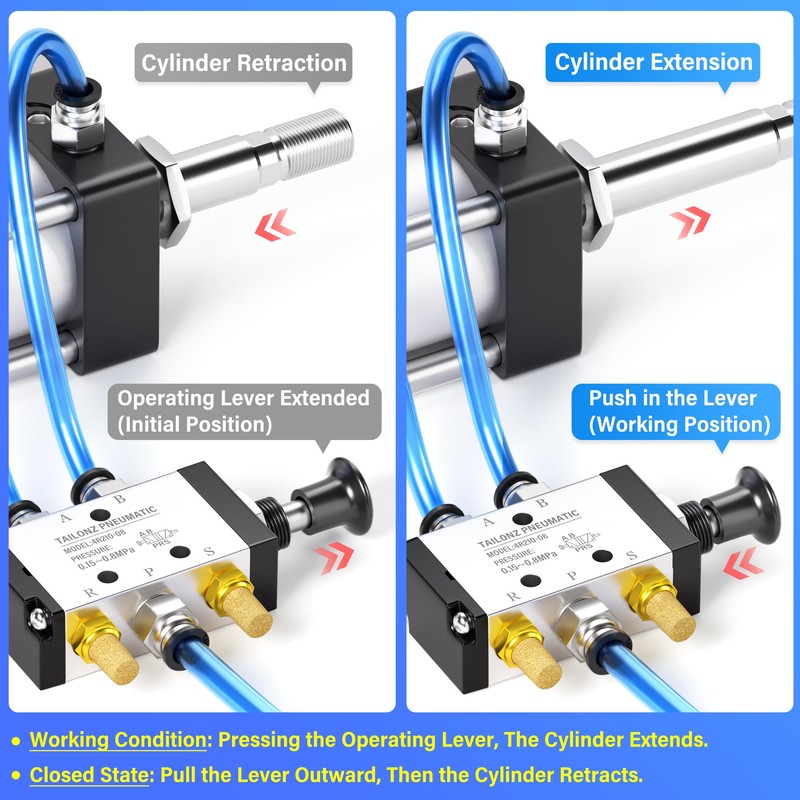 TAILONZ PNEUMATIC 1/4"NPT 5 Way 2 Position Air Hand Lever