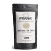 Melena de León Polvo Puro 100g