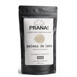 Melena de León Polvo Puro 100g