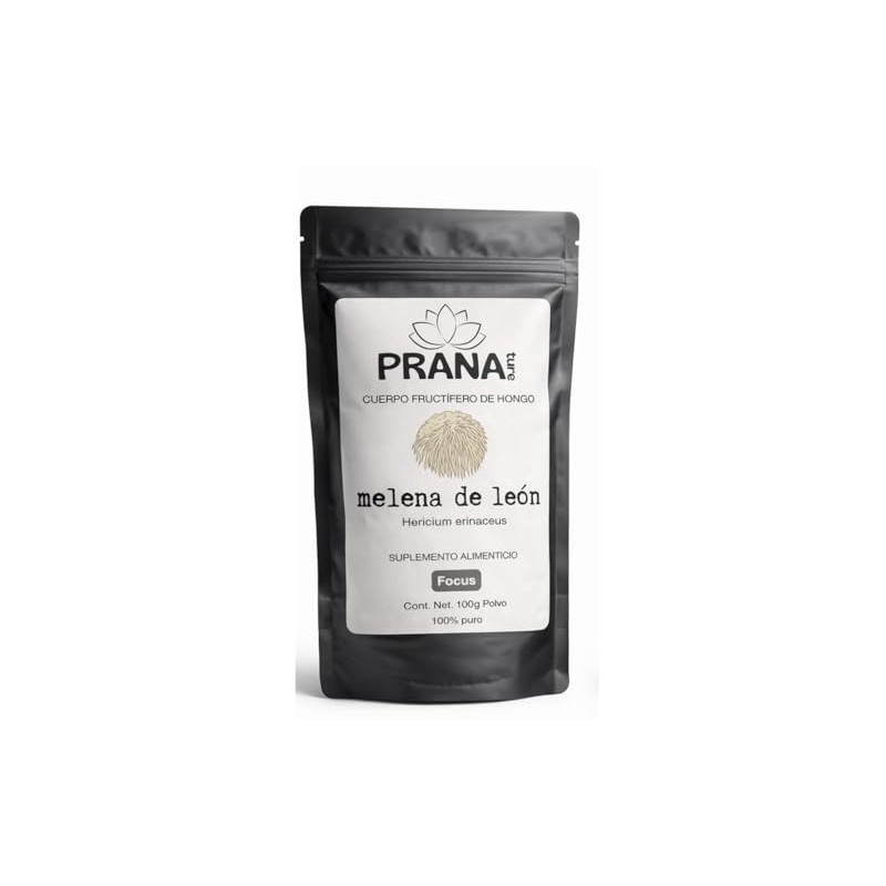 Melena de León Polvo Puro 100g