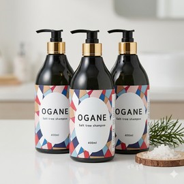 Come and go [2 items] Ogane Red Tree Houttuynia cordata Shampoo 400ml Salt Tree Itchy Scalp Soothing Dead Skin Care / [2개] 오가네 붉나무 어성초 샴푸 400ml 솔트트리 가려운 두피 진정 각질 케어