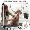 DWVO 46'' Dog Grooming Table, Foldable Pet Grooming Table with