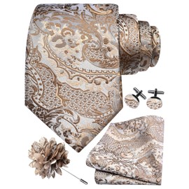 GUSLESON Khaki Champagne Tie Set for Men Silk Paisley Necktie Pocket Square Cufflinks and Lapel Pin Brooch Set for Wedding (6114-11)