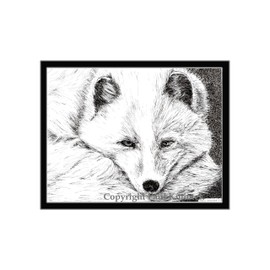 Arctic Fox, Limited Edition, Matted Pen and Ink Print