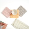 Neessno Kitchen Dish Cloths,Super Absorbent Coral Velvet Dish Towels,Quick Drying
