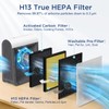 DBFIT AP-M1419 Pet Mode Genuine HEPA Washable Filter Replacement, H13