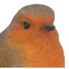 Vivid Arts British Birds Robin Size F