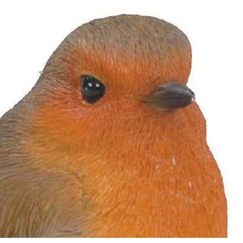 Vivid Arts British Birds Robin Size F